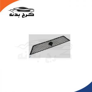 جلو پنجره دنا
